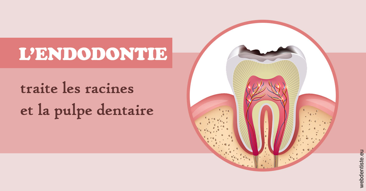 https://dr-acquaviva-cyril.chirurgiens-dentistes.fr/L'endodontie 2