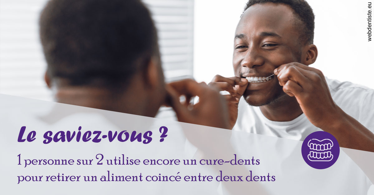 https://dr-acquaviva-cyril.chirurgiens-dentistes.fr/Cure-dents 2