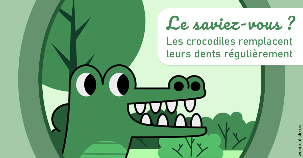 https://dr-acquaviva-cyril.chirurgiens-dentistes.fr/Crocodiles 2