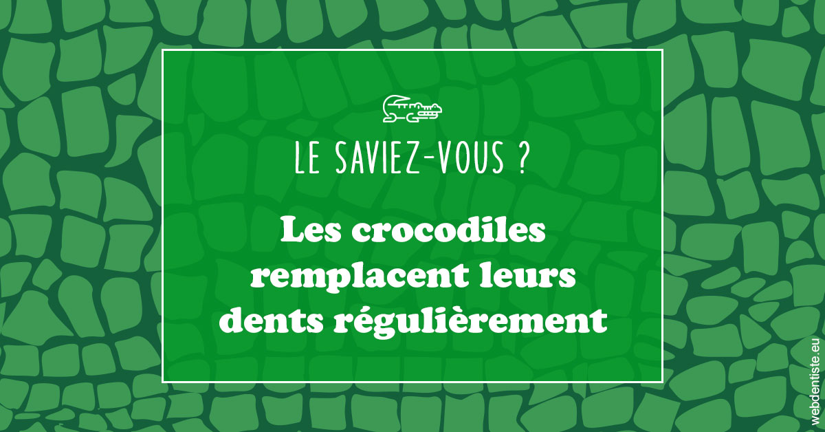https://dr-acquaviva-cyril.chirurgiens-dentistes.fr/Crocodiles 1